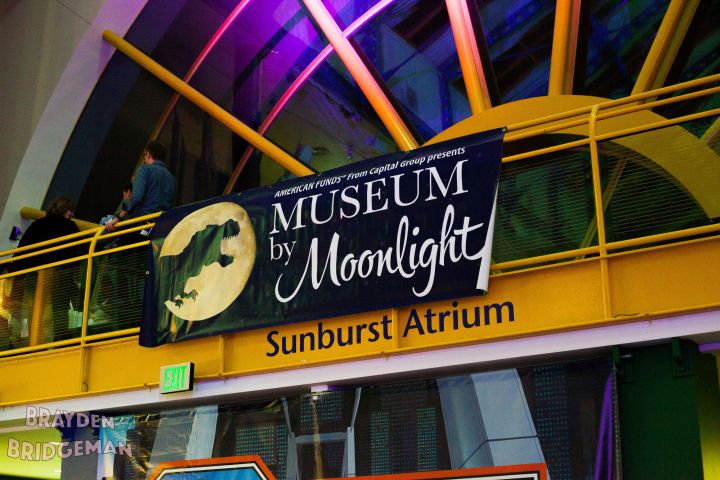 Museum by Moonlight 2018