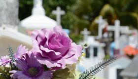 Hutchison Funeral Home blog - flowers