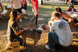 Yappy Hour September 2019